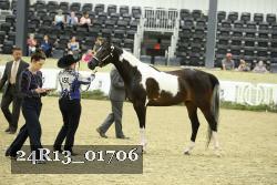 24R13_01706 thumbnail