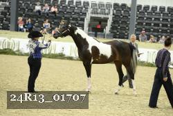 24R13_01707 thumbnail