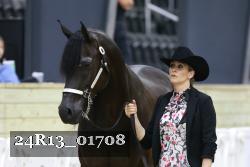 24R13_01708 thumbnail