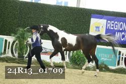 24R13_01709 thumbnail