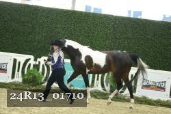 24R13_01710 thumbnail