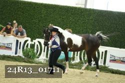 24R13_01711 thumbnail