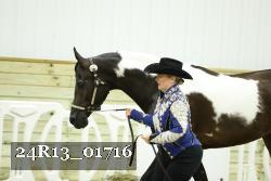 24R13_01716 thumbnail