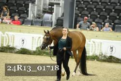 24R13_01718 thumbnail