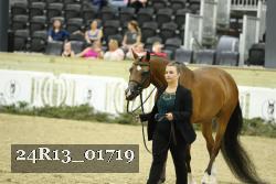 24R13_01719 thumbnail