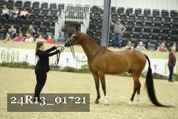 24R13_01721 thumbnail