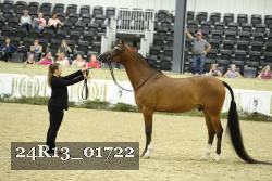 24R13_01722 thumbnail