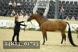 24R13_01723 thumbnail