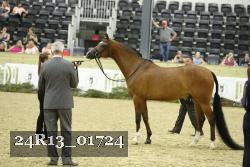 24R13_01724 thumbnail