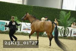 24R13_01727 thumbnail