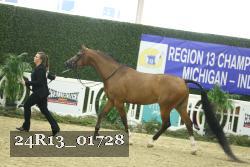 24R13_01728 thumbnail
