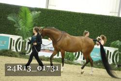24R13_01731 thumbnail