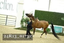 24R13_01732 thumbnail