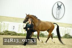 24R13_01733 thumbnail