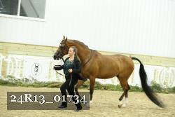 24R13_01734 thumbnail