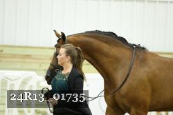 24R13_01735 thumbnail