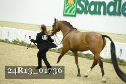 24R13_01736 thumbnail