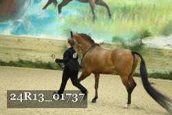 24R13_01737 thumbnail