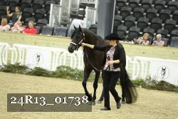 24R13_01738 thumbnail