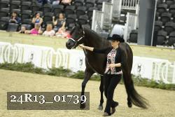 24R13_01739 thumbnail