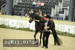 24R13_01740 thumbnail