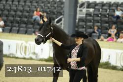 24R13_01742 thumbnail