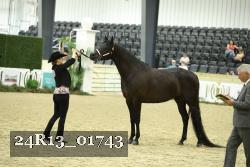 24R13_01743 thumbnail