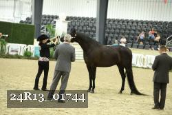 24R13_01744 thumbnail