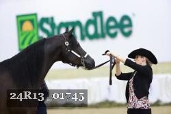 24R13_01745 thumbnail