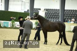 24R13_01746 thumbnail