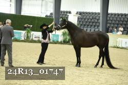 24R13_01747 thumbnail