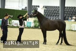 24R13_01748 thumbnail