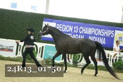 24R13_01750 thumbnail