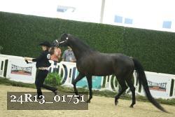 24R13_01751 thumbnail