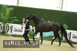 24R13_01752 thumbnail