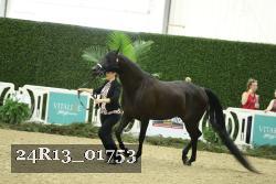 24R13_01753 thumbnail