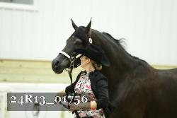 24R13_01756 thumbnail
