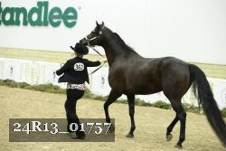 24R13_01757 thumbnail