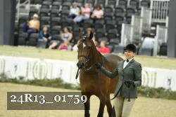 24R13_01759 thumbnail