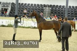 24R13_01761 thumbnail
