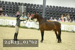 24R13_01762 thumbnail