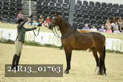 24R13_01763 thumbnail