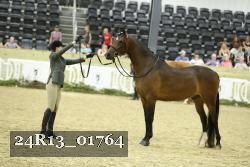 24R13_01764 thumbnail