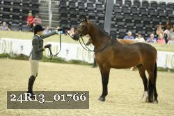 24R13_01766 thumbnail