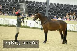 24R13_01767 thumbnail