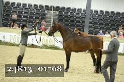 24R13_01768 thumbnail