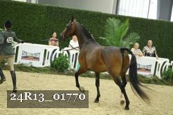 24R13_01770 thumbnail