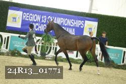 24R13_01771 thumbnail