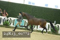 24R13_01772 thumbnail