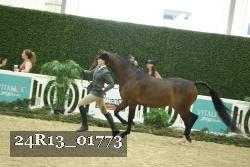24R13_01773 thumbnail